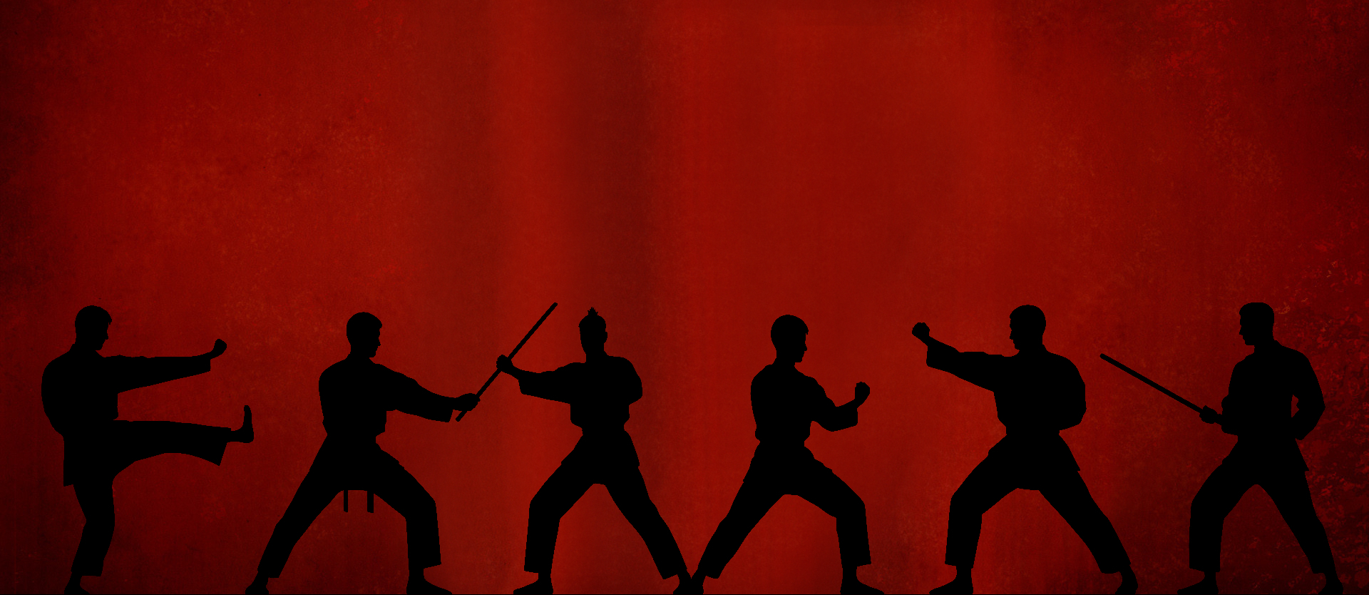 Martial arts training in Joure